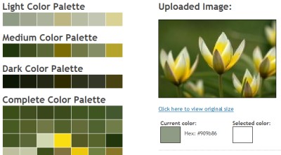 画像に使われている色を抽出する『Colors Palette Generator』